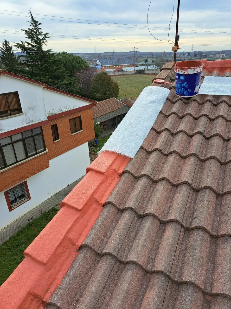 Detalle del borde de un tejado junto al alero